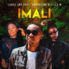 Download Mp3 Lance Jnr – Imali Ft. Amukelani & Lilly M