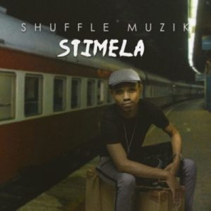 Shuffle Muzik - iNyoni ft. Nhlanhla Dube