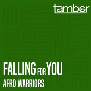 Download Mp3: Afro Warriors – Falling For You (Original Vocal)