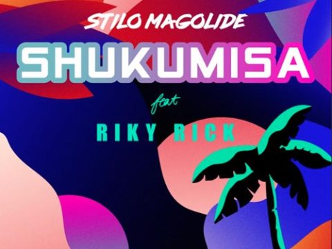 Stilo Magolide – Shukumisa ft. Riky Rick