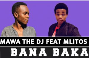 Salmawa The DJ – Bana Baka feat Mlitos (Original)