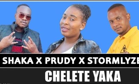 DJ Shaka, Prudy & Stormlyzer – Chelete Yaka