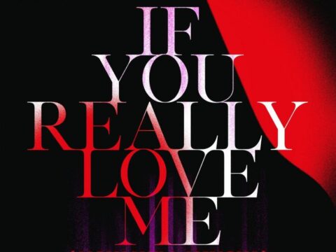 David Guetta, Mistajam, John Newman - If You Really Love Me (How Will I Know)