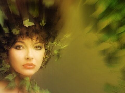 Kate Bush Running Up That Hill Mp3 Download