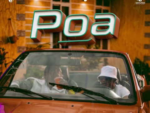 Country Wizzy ft Marioo – Poa
