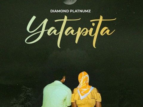 Diamond Platnumz - Yatapita