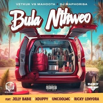 Cover art for Bula Nthweo by Vetkuk, Mahoota & DJ Maphorisa